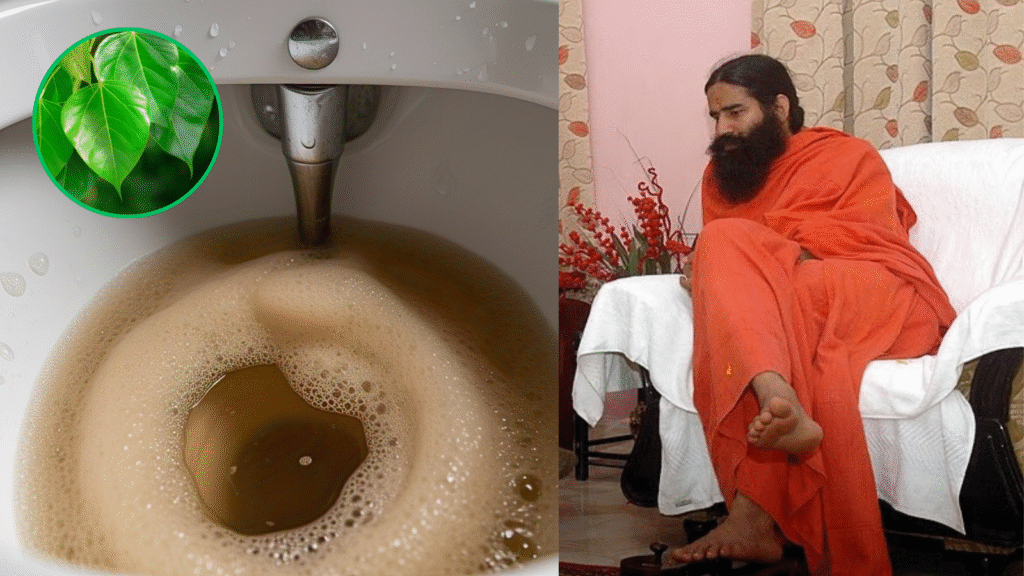 Ayurvedic treatment for kidney